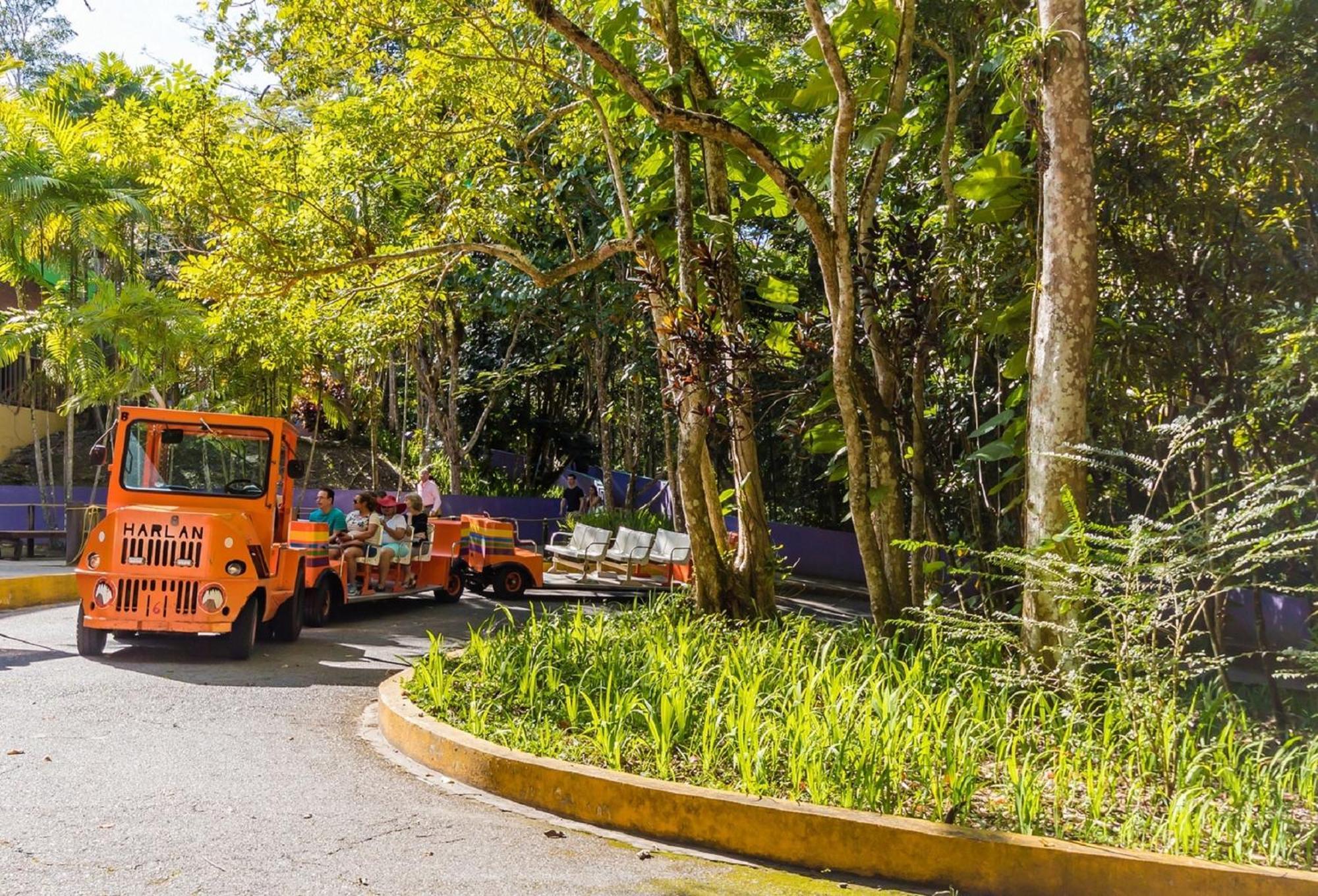 Discovery Inn & Suites At 681 Ocean Drive Arecibo Dış mekan fotoğraf